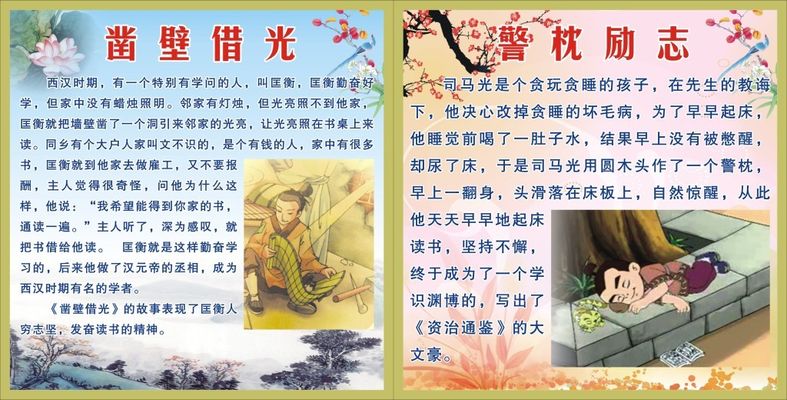 感动于阳光向上的力量